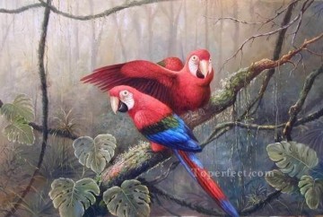 dw073bD animal bird Oil Paintings